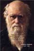 'The wise man must remember that while he is a descendant of the past, he is a parent of the future.' (Herbert Spencer)